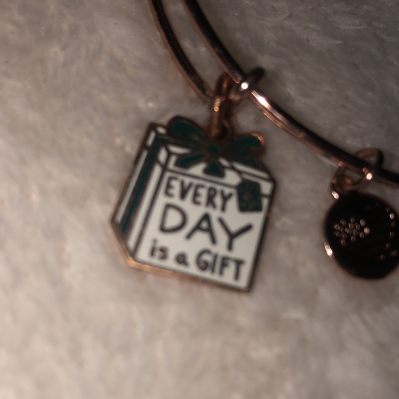 ALEX AND ANI ROSE GOLD BRACELET BANGLES - Picture 3 of 4